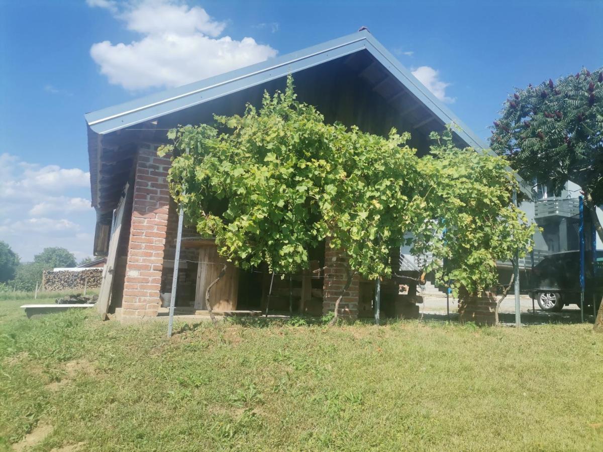 Apartman Sipa Bjelovar Exterior foto